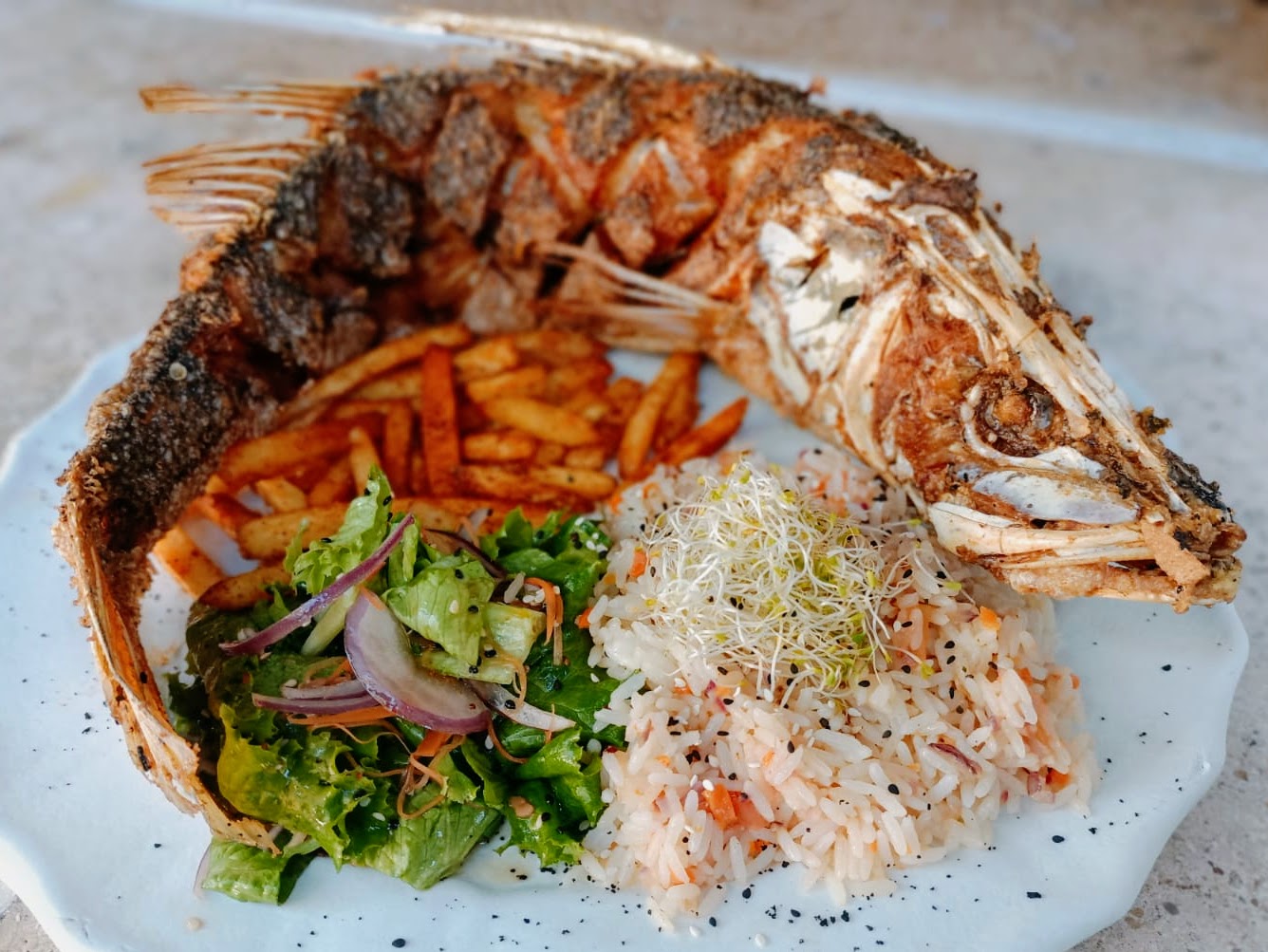PESCA DEL DIA